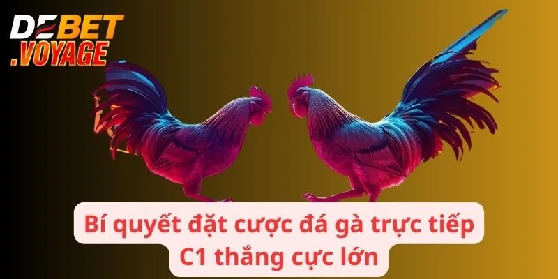 Đá Gà Trực Tiếp C1 - Trải Nghiệm Hồi Hộp Kịch Tính Tại DEBET 3 Bí quyết đặt cược đá gà trực tiếp C1 thắng cực lớn