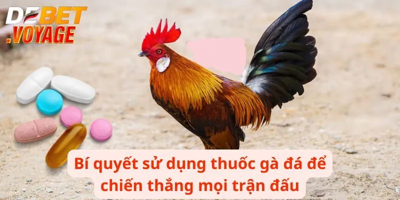 Thuốc Gà Đá - Bí Quyết Để Chiến Thắng Mọi Trận Đấu 3 Bí quyết sử dụng thuốc gà đá để chiến thắng mọi trận đấu