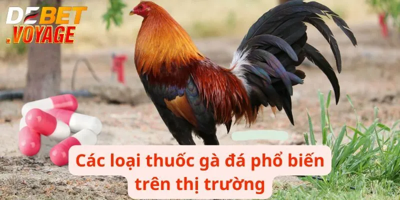 Thuốc Gà Đá - Bí Quyết Để Chiến Thắng Mọi Trận Đấu 2 Các loại thuốc gà đá phổ biến trên thị trường