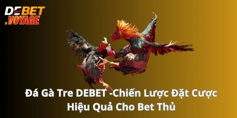 Đá Gà Tre - Chiến Lược Đặt Cược Hiệu Quả Cho Bet Thủ
