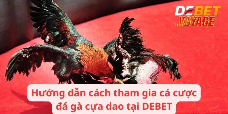 Đá Gà Cựa Dao - Sân Chơi Trực Tuyến Nổi Bật Nhất Tại DEBET 3 Hướng dẫn cách tham gia cá cược đá gà cựa dao tại DEBET
