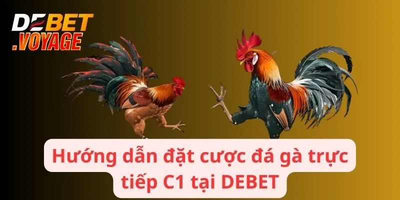 Đá Gà Trực Tiếp C1 - Trải Nghiệm Hồi Hộp Kịch Tính Tại DEBET 2 Hướng dẫn đặt cược đá gà trực tiếp c1 tại DEBET