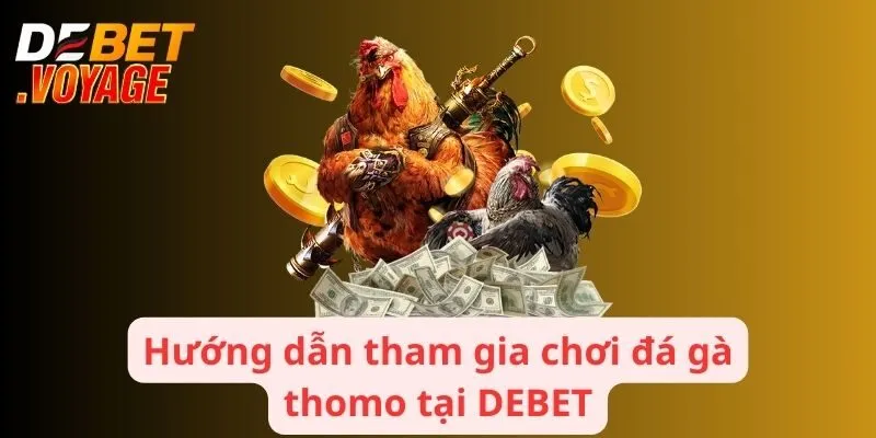 Đá Gà thomo - Nền Tảng Hấp Dẫn Hàng Triệu Người Tham Gia 3 Hướng dẫn tham gia chơi đá gà thomo tại DEBET