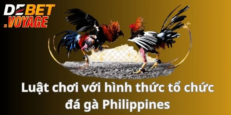 Đá Gà Philippines - Sân Chơi Hấp Dẫn Đẳng Cấp Nhất Châu Á 1 Luật chơi với hình thức tổ chức Đá gà Philippines