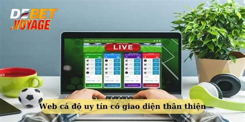 Tiêu Chí Chọn Trang Web Cá Độ Uy Tín Cùng Debet 3 Trang cá độ uy tín luôn có giao diện thân thiện